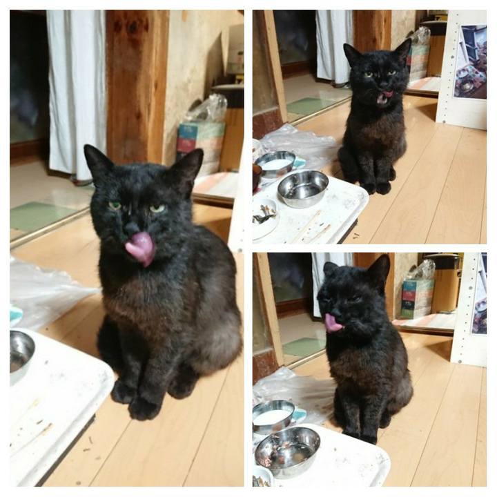 Ff23453a cad6 414f 82b6 f9b6dd5dc205 1624360430157