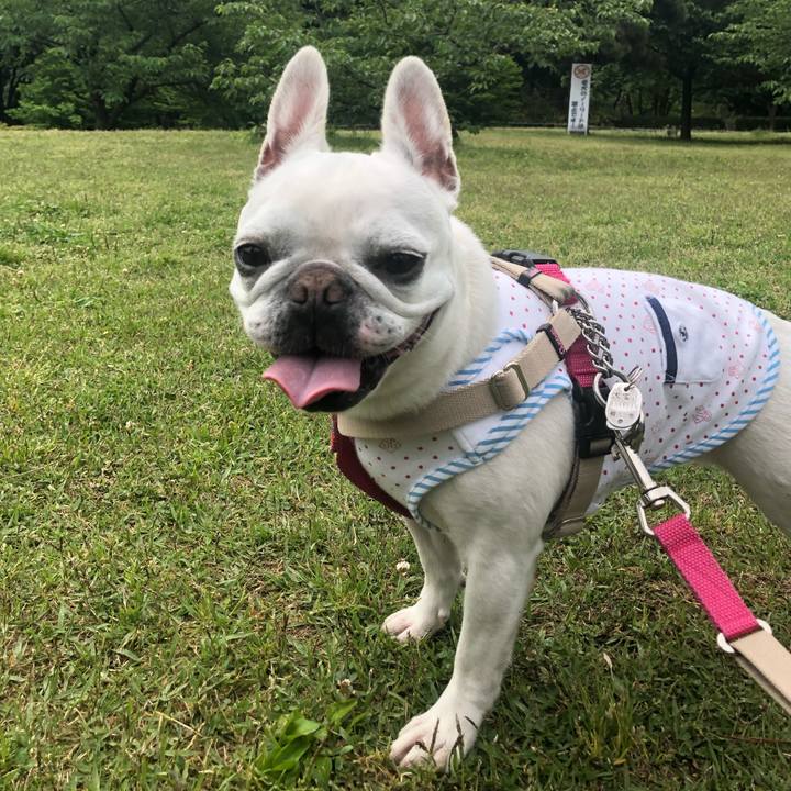 Ff236eca 6577 4a2a 992c 7a9bb895bd60 1557104901406