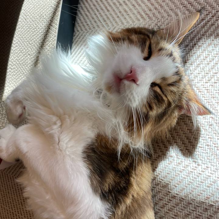 Ff2392fd bd6c 4c10 825f afe5e61b3476 1661070458078