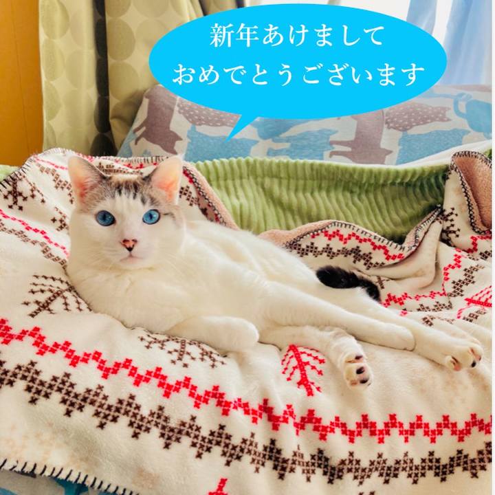 Ff23b781 014d 4805 b695 df9f517d4815 1736388905922