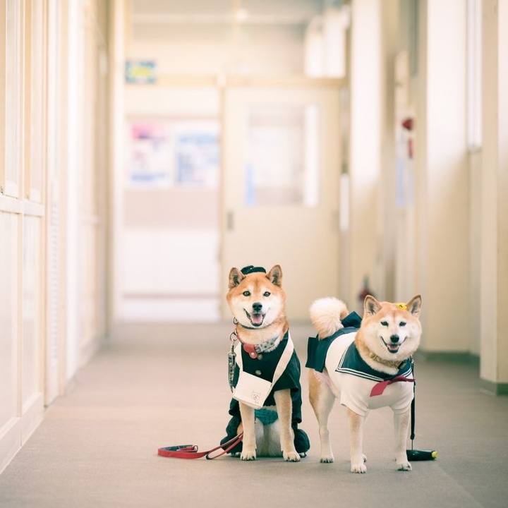 Ff23d365 7471 4143 9cb5 0298b52a0c90 1715181121374