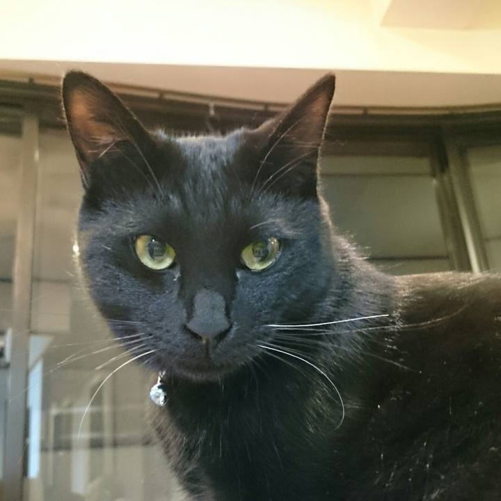 Ff23e49c 0d23 425e 8249 f0a18b5a721b 1512604431380