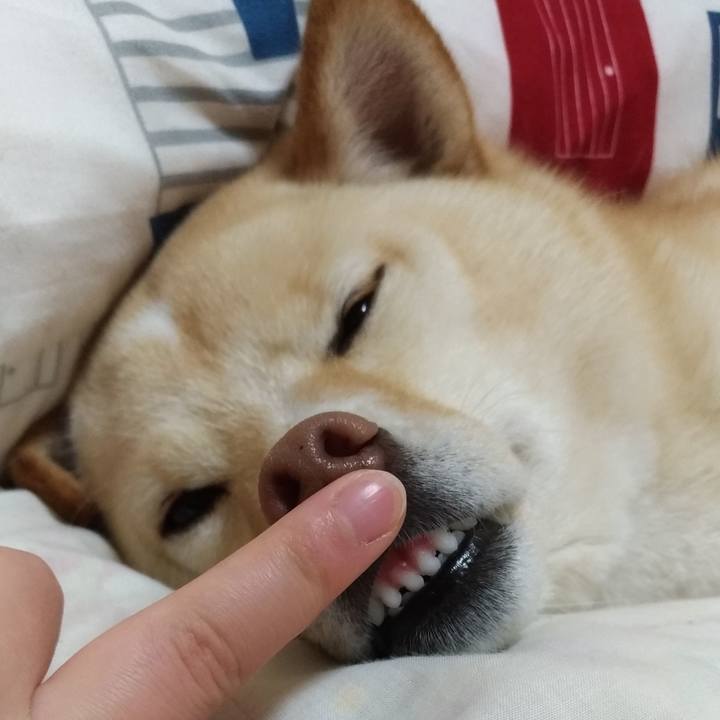 Ff24901b 7837 49b3 bee4 5af99a822025 1555505931179