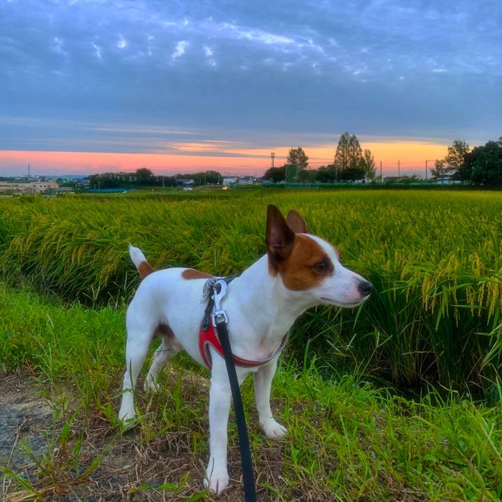 Ff2492c0 4496 403a ac71 cc1bd05865ee 1538475783779