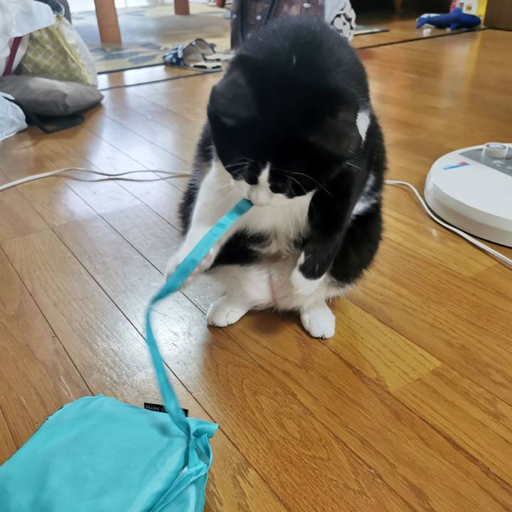 Ff24a9e2 7d37 4d05 ba74 97d0a84312ca 1659771003411