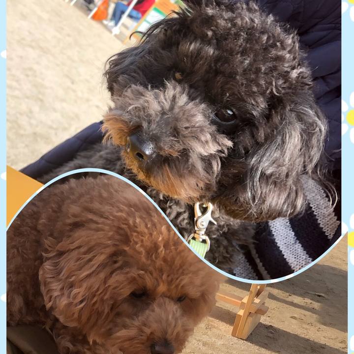 Ff24af90 cd1c 4921 ba6d 4fc4f339271d 1585460736644