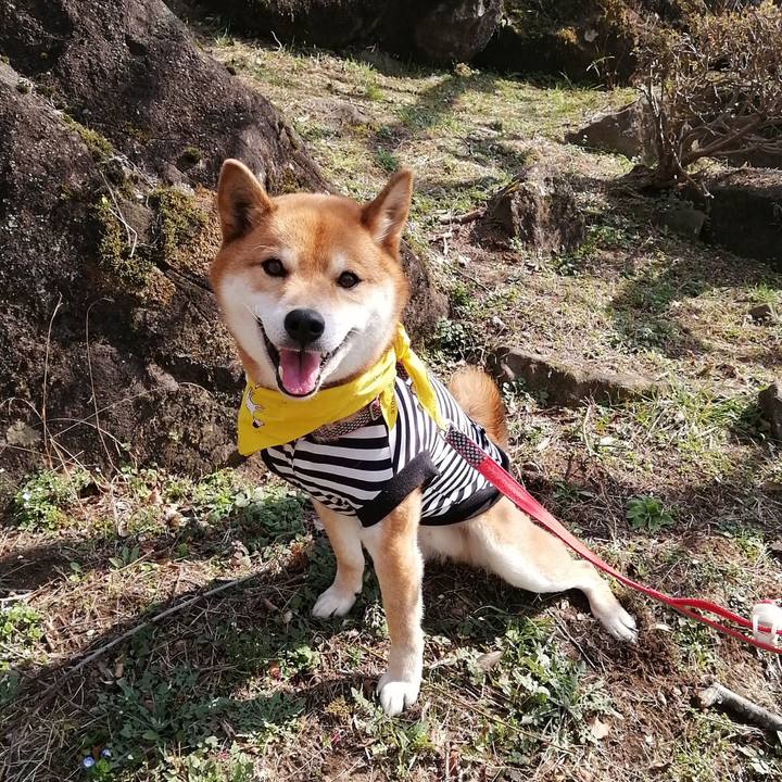 Ff24b7dd 438c 4739 b282 8d0fa6dea8e4 1583057010536