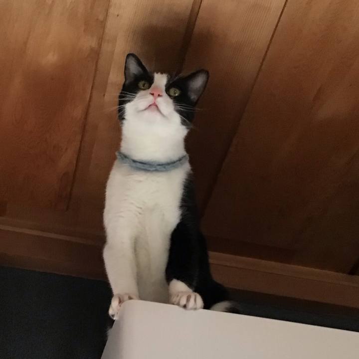 Ff24da07 f8fe 45ae 8add bda388b06783 1663404794798