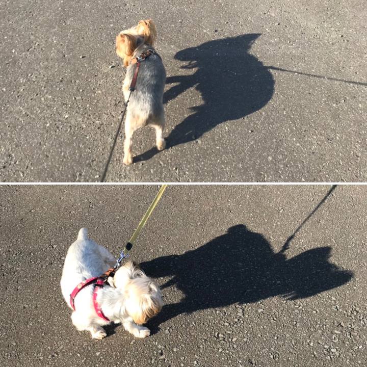 Ff250ee3 a579 4786 b564 beea381ea616 1560234926574