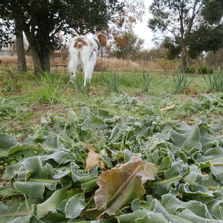 Ff251d21 cccb 4e92 9eda 9f788a84ee36 1544400906209