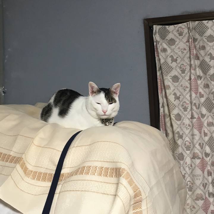 Ff252111 443a 4911 8c87 025ecd0fb107 1509278241427