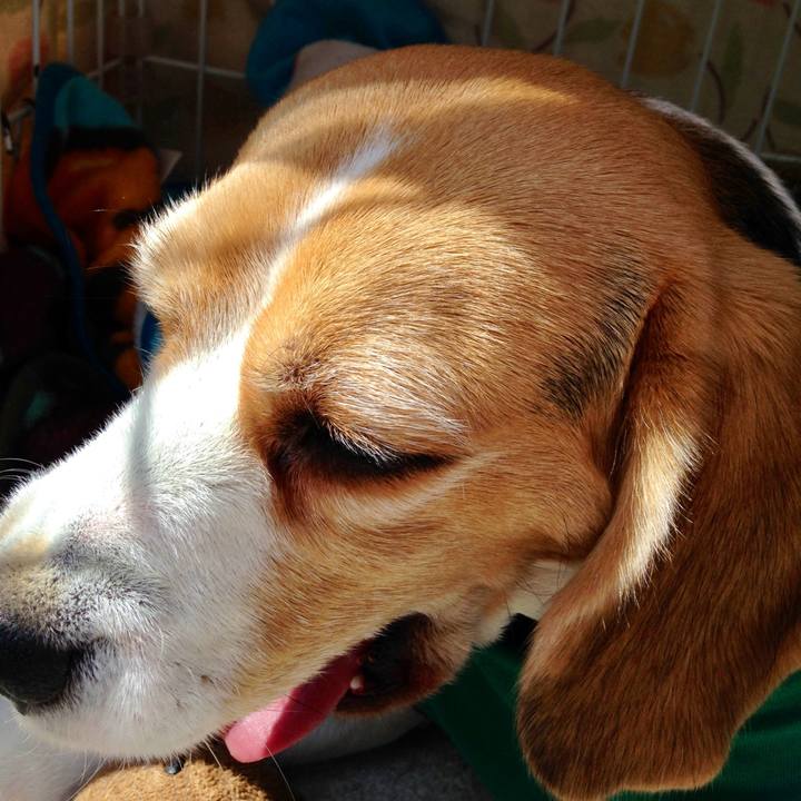 Ff25862f 9d33 4c9e 8d82 ba84bd926952 1742094064417