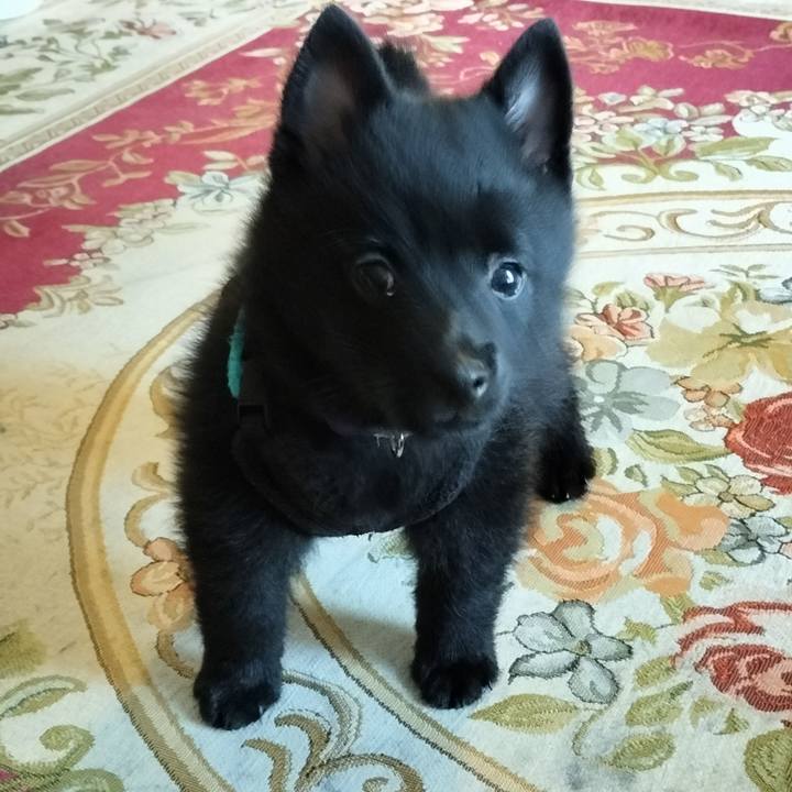 Ff25b359 66e2 47e7 882d eceb403b8d3b 1746050882103