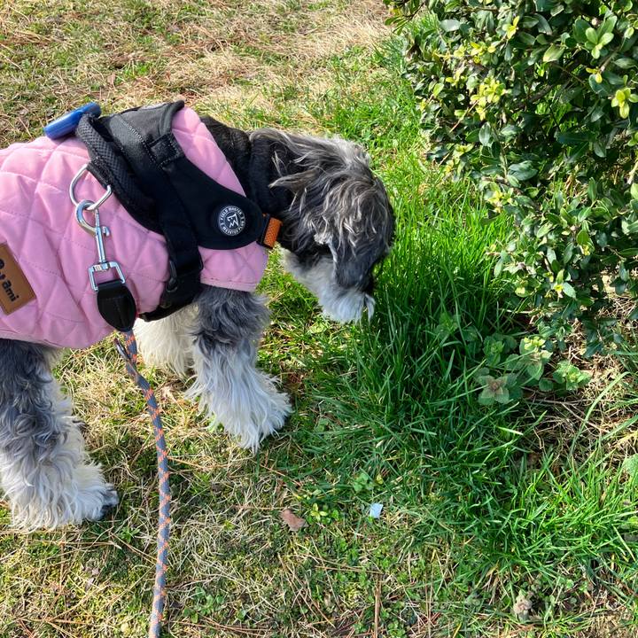 Ff25e213 1e06 40d2 9f5f aebd04b4c469 1773983922353