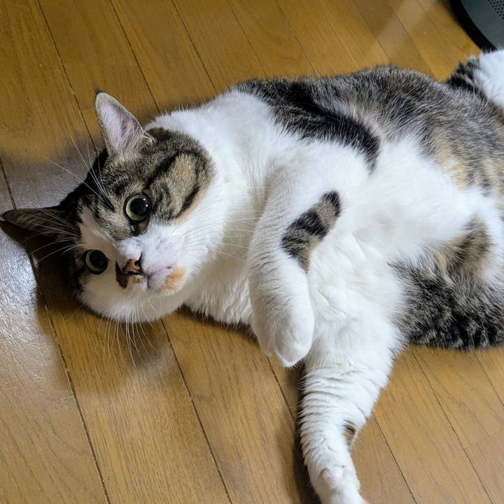 Ff261308 46e7 4258 af91 2545fd83d029 1756341401611