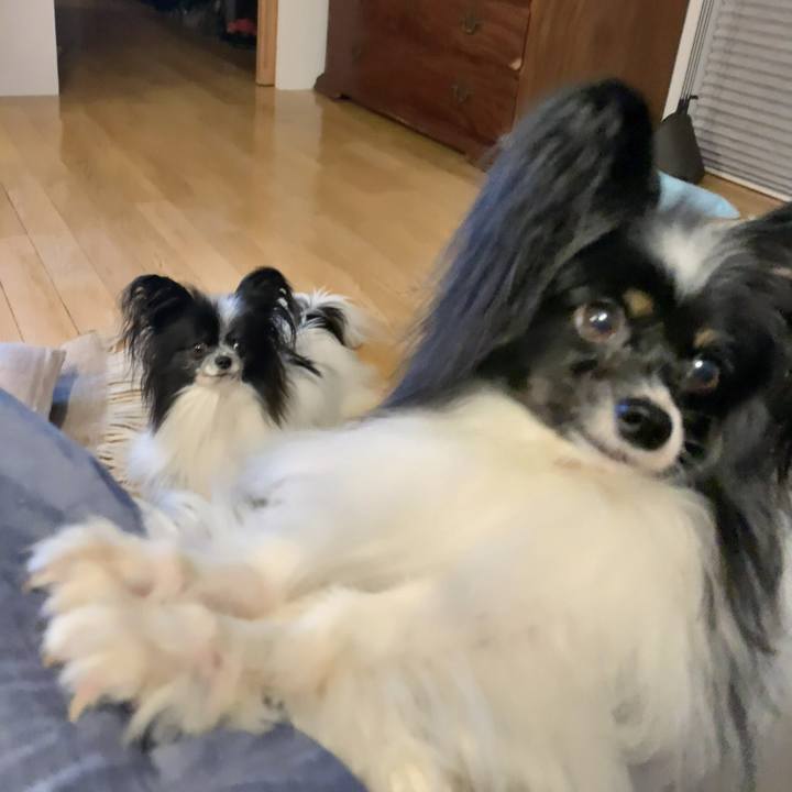 Ff265bee 8ba6 43c1 ac5c d891893fc6ad 1597062240643