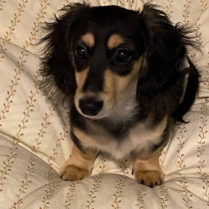 Ff265c0d 634c 4bb7 9656 b97c2230fda4 1670890851310