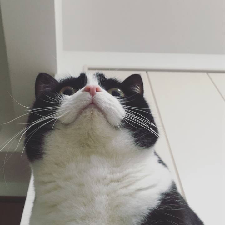 Ff26a4a6 58d5 4db8 8391 caaa2cb9e9b4 1577682525161