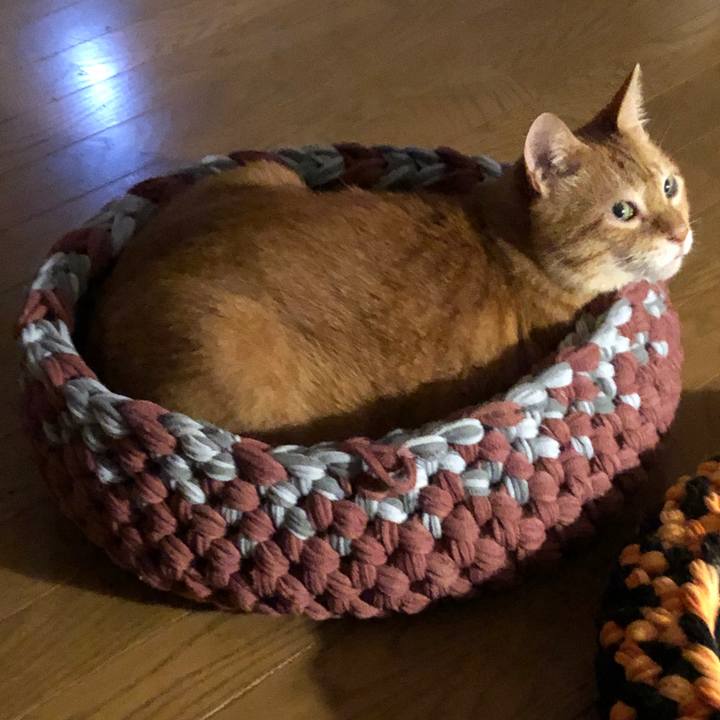 Ff26b3ec 8d00 48bc 9455 124271264614 1660042373454