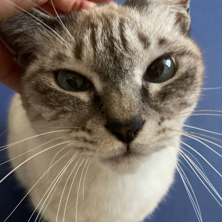 Ff26d122 037f 4291 91d7 a4c7bca8195f 1667697870952