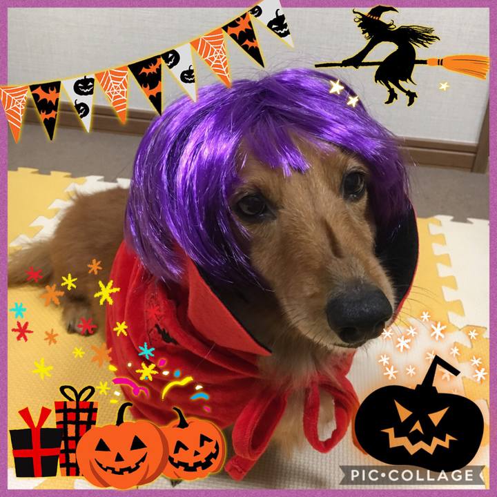 Ff26dc59 19c7 4e14 b52a 32e476bbcd8c 1540990771410