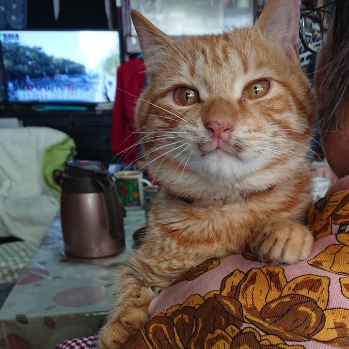 Ff272773 9ac0 4906 ab68 c6dcabd21b2f 1641088832806