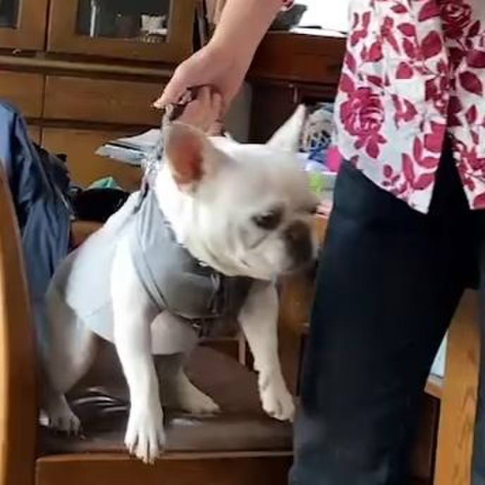 Ff277cee 5938 4611 b13c 1fda7aeed161 1650840312667