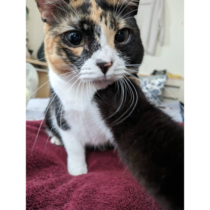 Ff279cf8 f09c 4434 b941 65a738372ffa 1696910715368