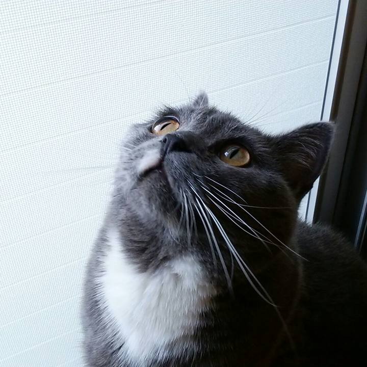 Ff27b331 813d 40dc b1aa 55119effa66f 1569742191273