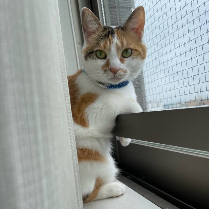 Ff27b73e 5579 43b7 b5c0 0381488af37e 1687735905148