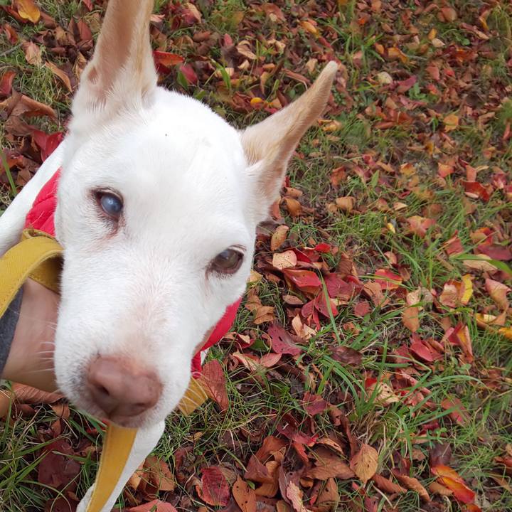 Ff27c38a 8073 498c ab51 ce0780726559 1542171424524