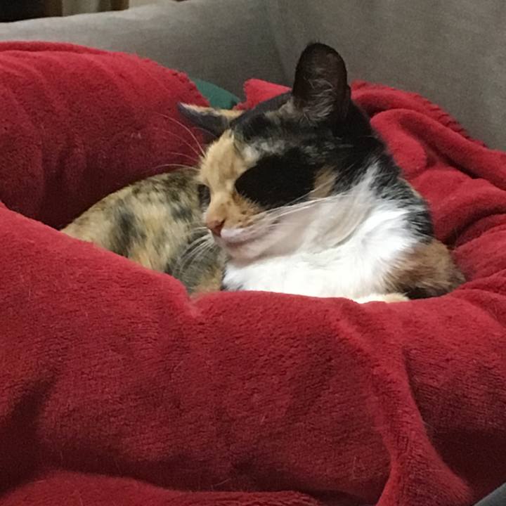 Ff280738 0dae 48d7 90b2 1b2dba095a6e 1523445627507