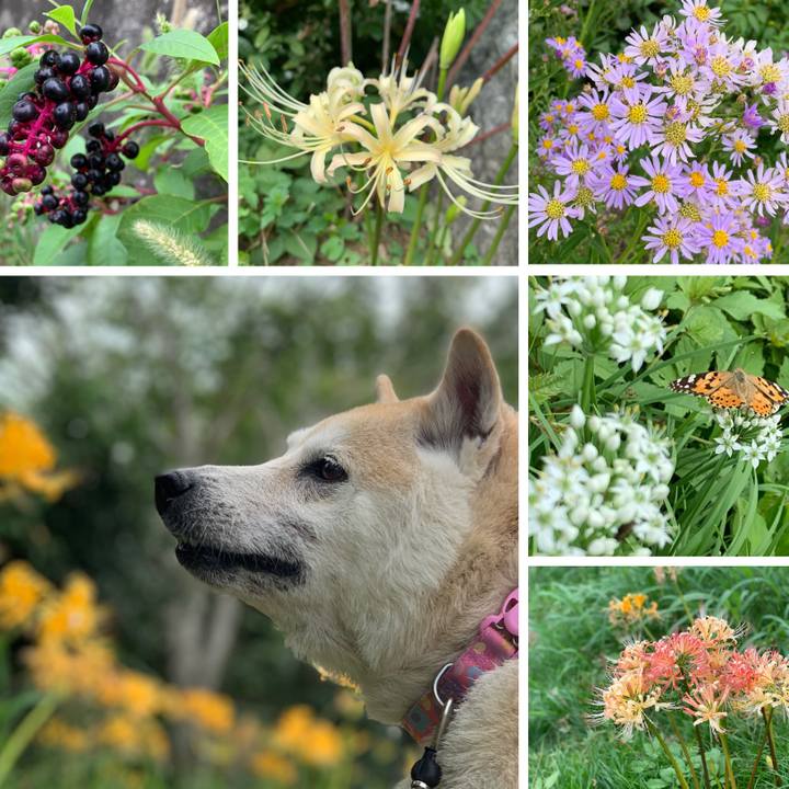 Ff281347 3275 4ba2 ab48 a37aa57bbd39 1600868900529