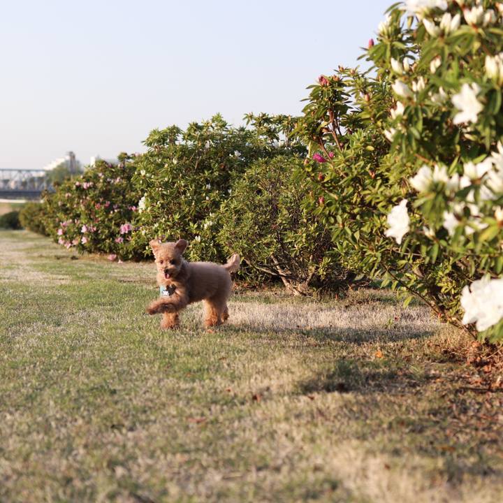 Ff2827fb af6c 4355 8c5c 02af4b4ae8c9 1617887517504