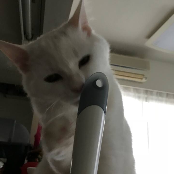 Ff28291f a942 4f46 9b9a 6e02b803c1f4 1518754131003