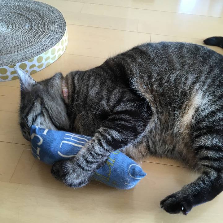 Ff283d0d c7ba 464e 9249 dcdbfc7aa11f 1525094387923