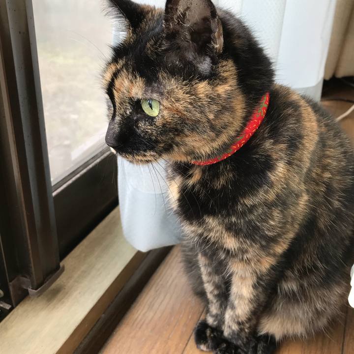 Ff284612 5a4b 4632 b13c 8e979dce2798 1515892219312