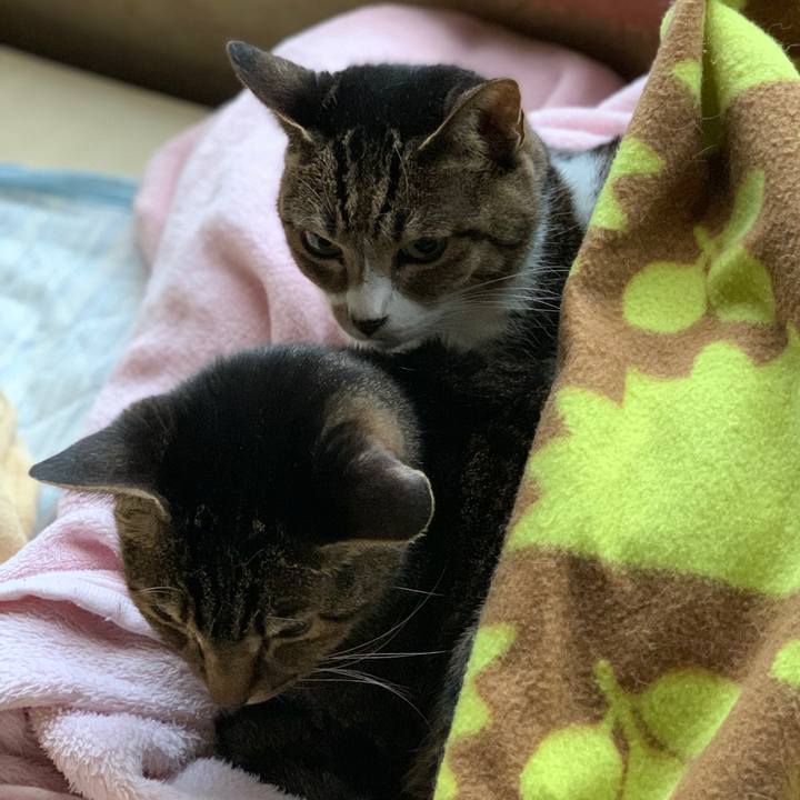 Ff28ceca 1226 4de6 aeac 8400c78fa84b 1602810716257