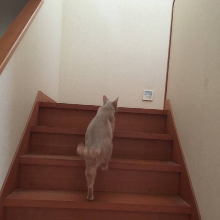 Ff290864 84ff 4528 80d6 cf639a4c7dd4 1555399433012