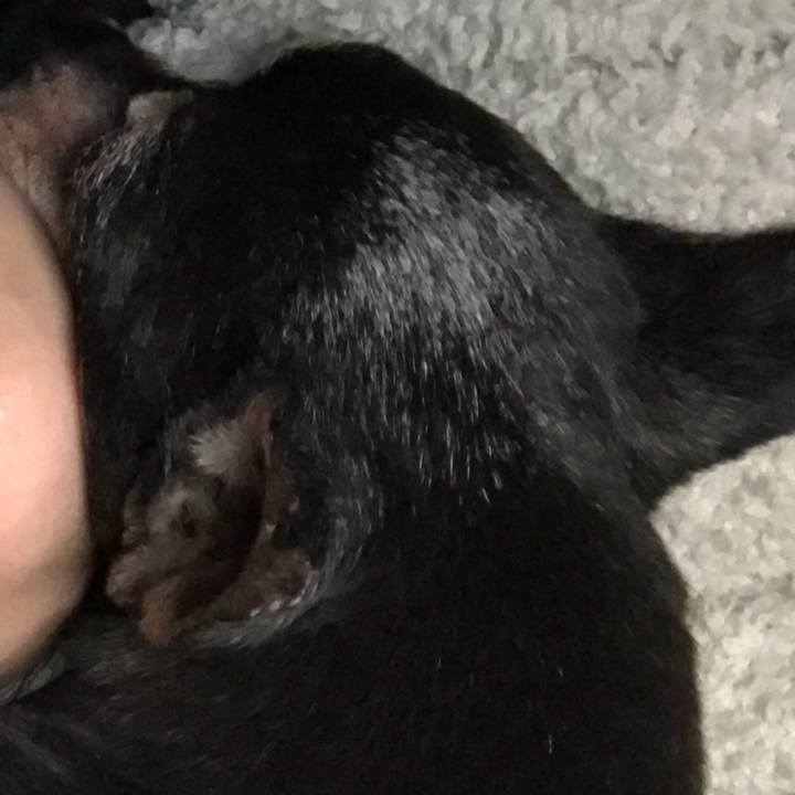 Ff2916e4 ea94 41c9 9d2d 521951851b77 1555730059225