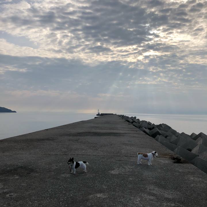 Ff2936e8 7c71 4d6f 971d 9a7f718250ae 1534197240635