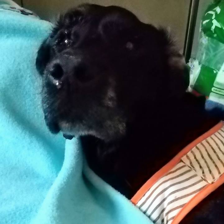 Ff296466 f634 47ff 8277 0955283915c9 1718838196127