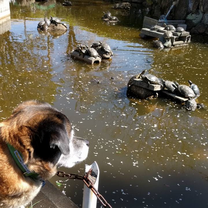 Ff29739a d3f7 4a4c 9ede b923d63f70a3 1555375186809