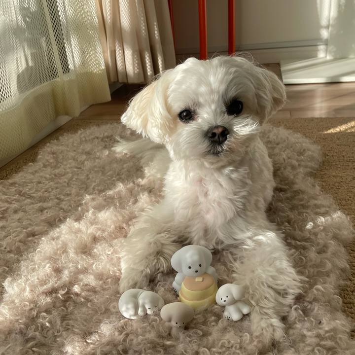 Ff298bf3 a393 4f70 bd12 0c7b9b1b177e 1772665131044