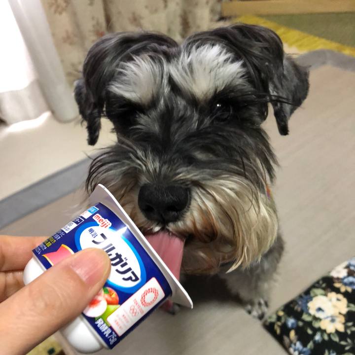 Ff29b4ea 27f1 4aea b25e 2b27bfd7af42 1615694955298