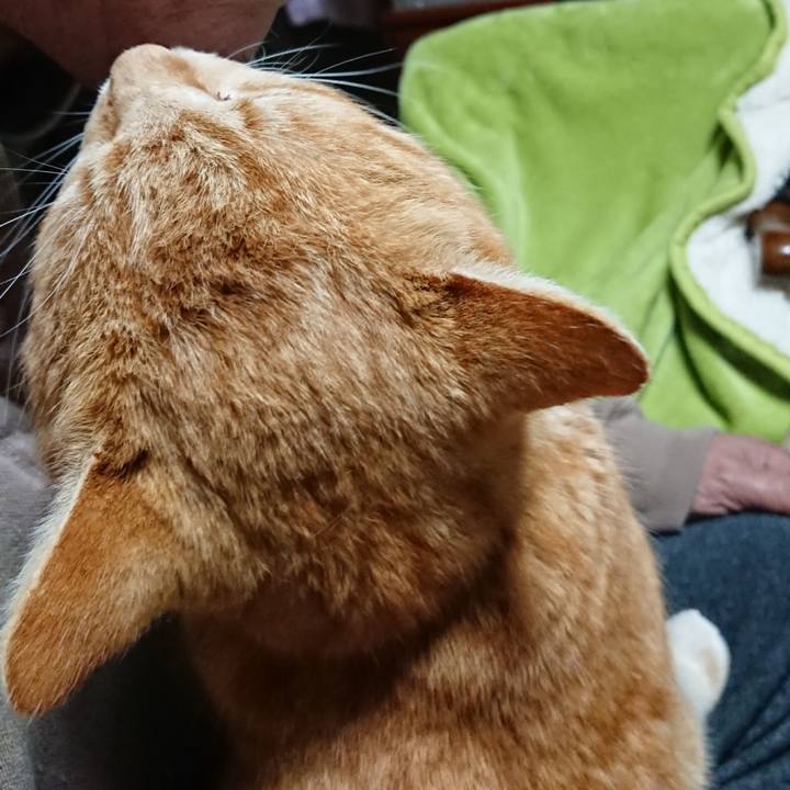 Ff29b927 e4fd 405b a180 efe2834d1ea7 1583267964808