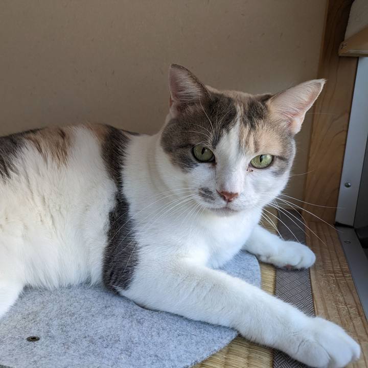 Ff29bc33 e12c 423c 8e90 26c950296a20 1699242617601