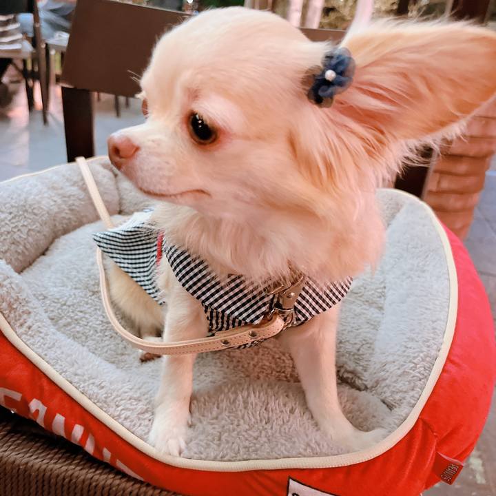 Ff29fd6e 1fbf 490d 8cd6 dccf7fce42b4 1661692489919