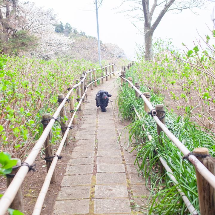 Ff2a704c 5d5c 44e7 9bf1 6aa50c821acd 1553916151935