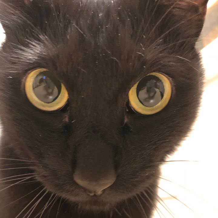 Ff2ab2b0 5781 451e 8030 098a42e39334 1518866507043